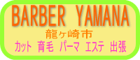 カット 育毛 パーマ エステ 出張 BARBER YAMANA