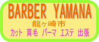 カット　育毛　パーマ　エステ　出張　ＢＡＲＢＥＲ　ＹＡＭＡＮＡ